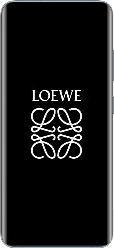 desarrollo web para loewe