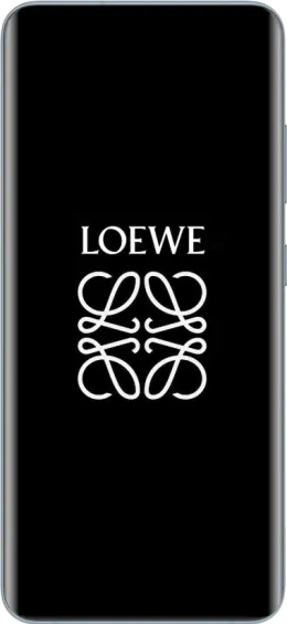 desarrollo web para loewe